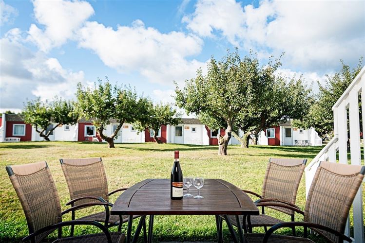 Apartament wakacyjny dla 6 osób - Æblehaven