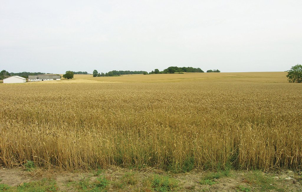 i58820_outdoor_05.jpg