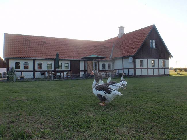 1000660_4.jpg